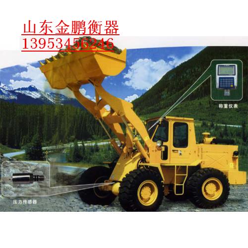 山东金鹏衡器有限公司
