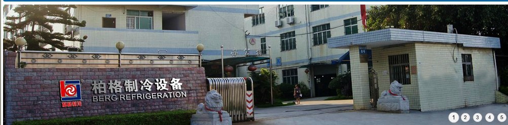 广州市柏格制冷设备有限公司