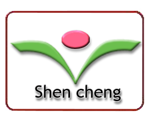天津市申成包装机械有限公司