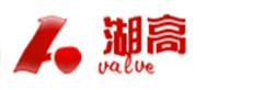 河南湖高阀门物资有限公司