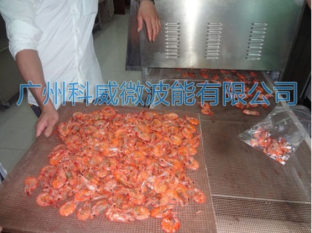 广州科威微波能有限公司
