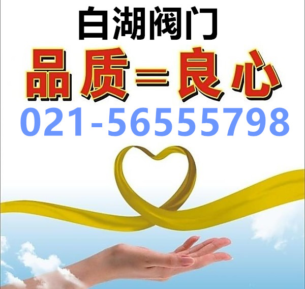 上海白湖阀门制造有限公司