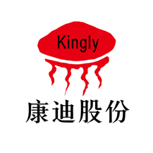 北京康迪光电子股份有限公司