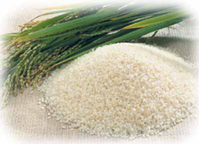 四川一加工企业用劣质米变优质米被举报 - 资