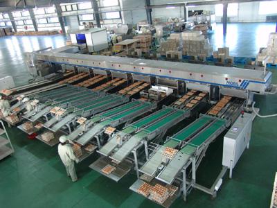 未来十年中国鸡蛋加工产品将暴增30倍 - 资讯