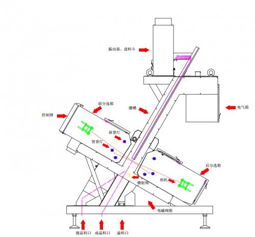色選設備在番茄前處理中的應用