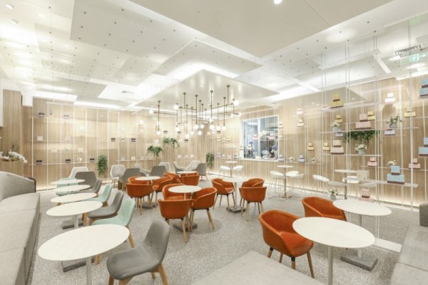 「奈雪の茶」新开 6 座城市,创始人如何做外来颠覆者?