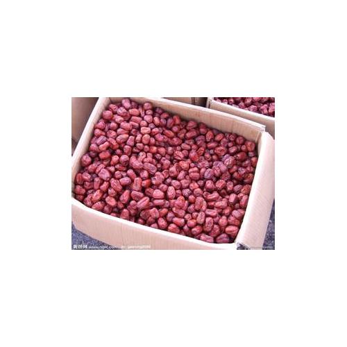 红枣干燥机/红枣烘干设备