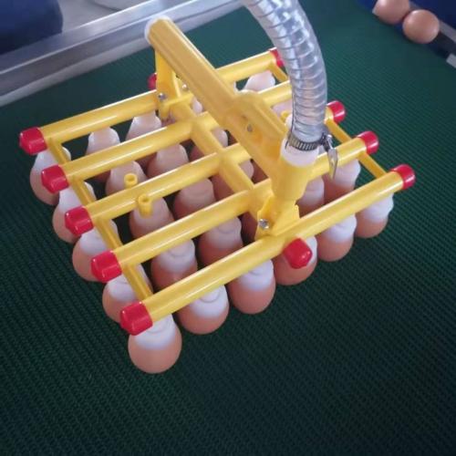 SRM-单头真空码蛋器 鸡蛋蛋托码蛋器