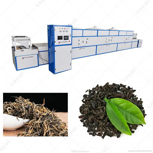 微波真空烘箱微波干燥设备网带干燥机茶叶杀青干燥机