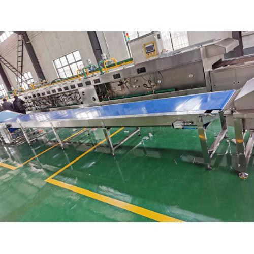 自动化酥韧两用饼干线